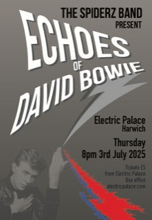 The Spiderz Band present Echoes of David Bowie 