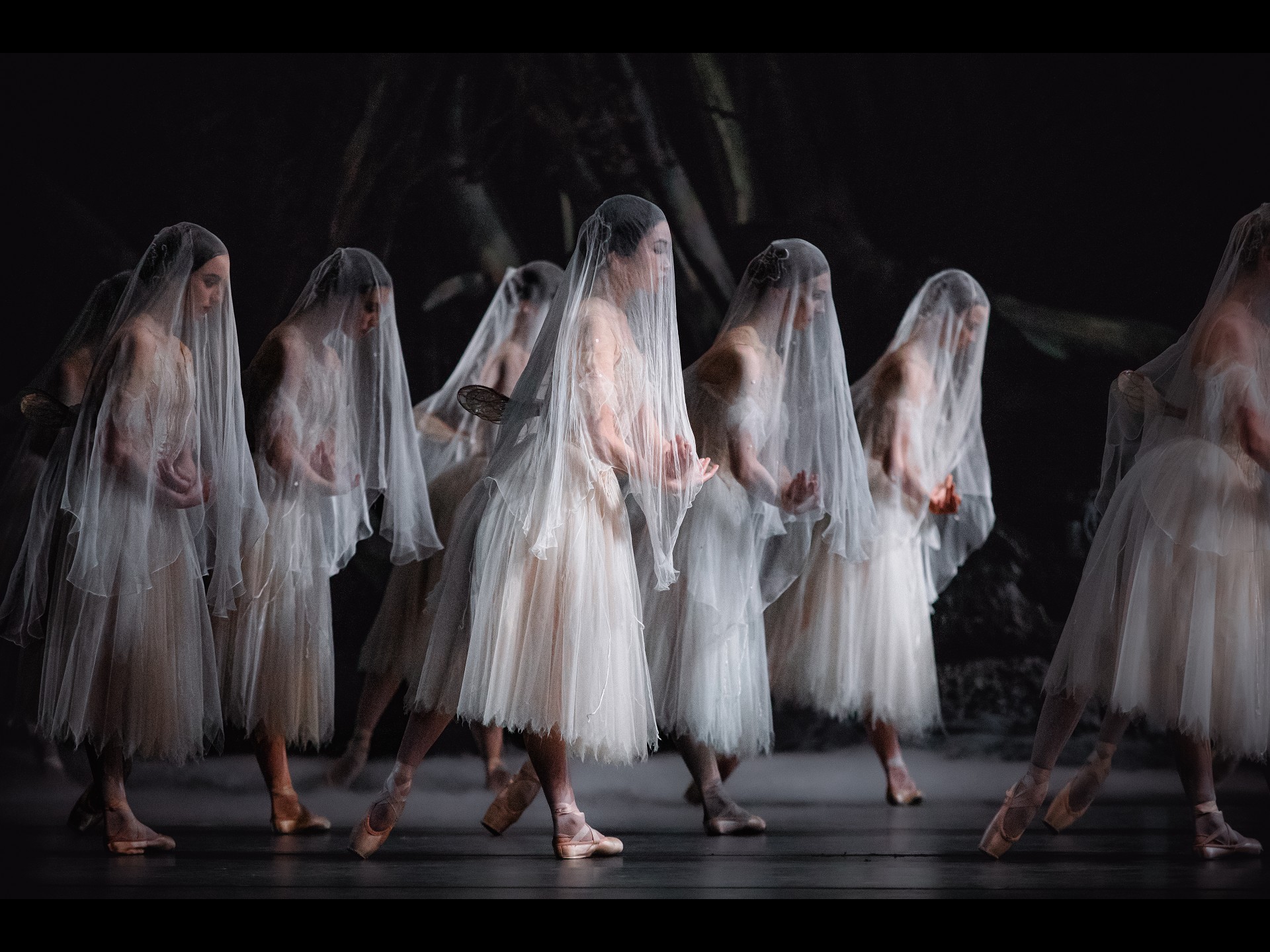 Giselle