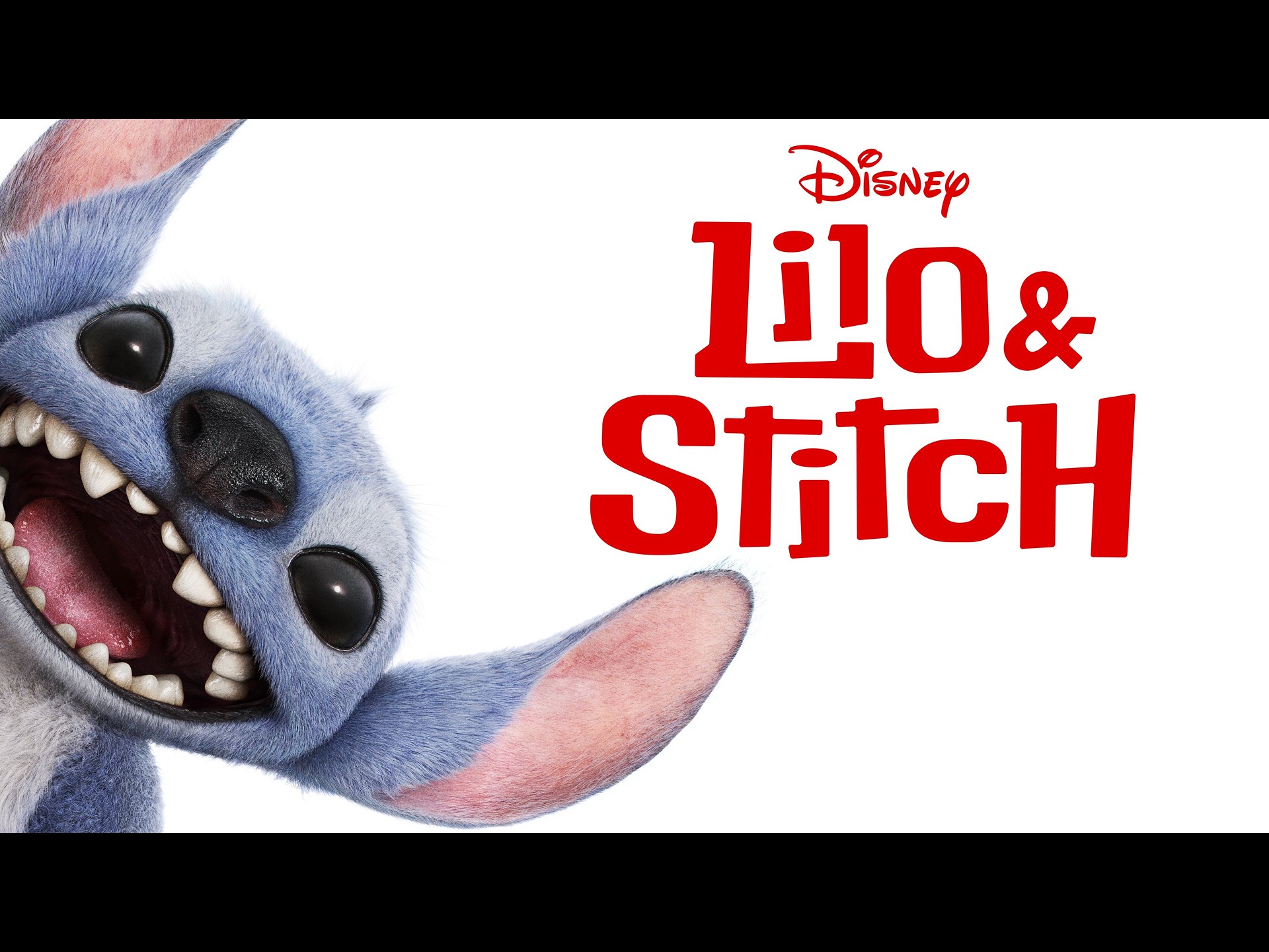 Lilo & Stitch (sat & sun)