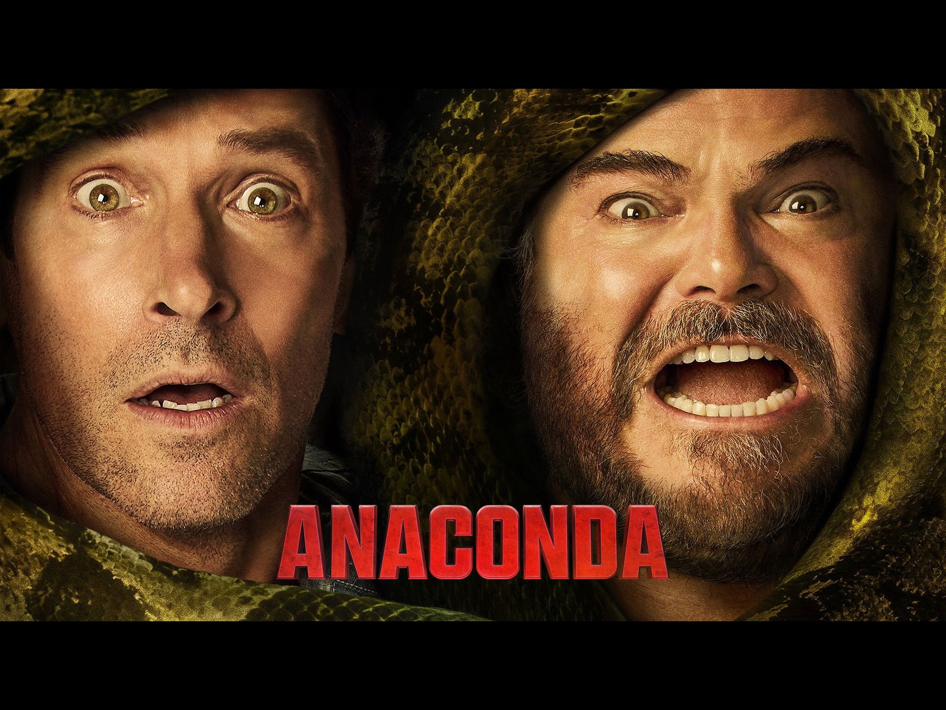 Anaconda