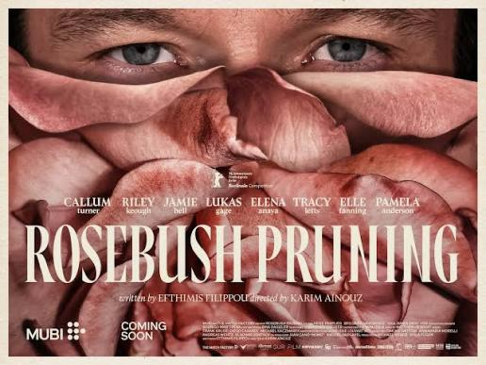 Rosebush Pruning