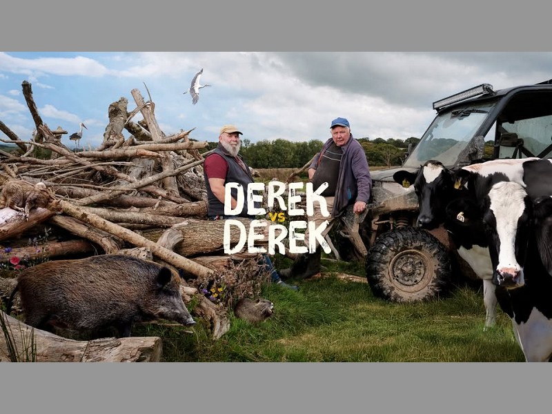 Derek vs Derek 