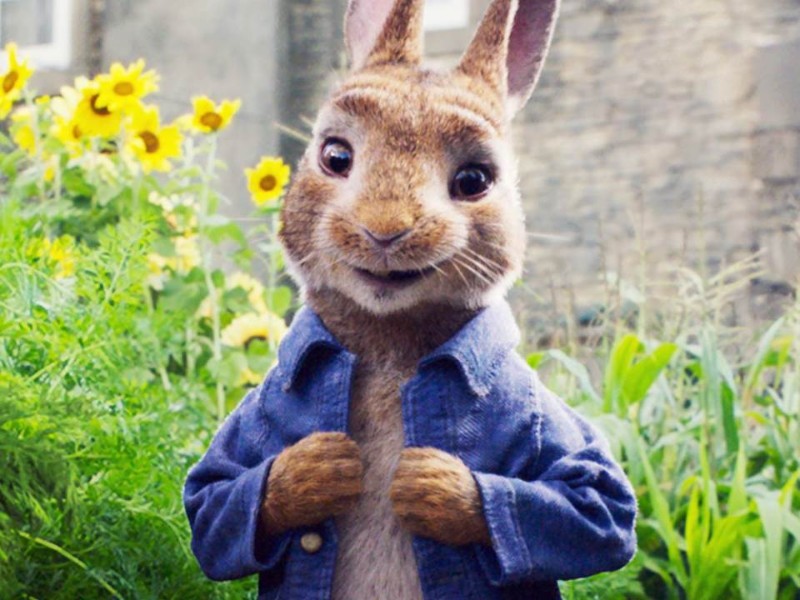 peter rabbit