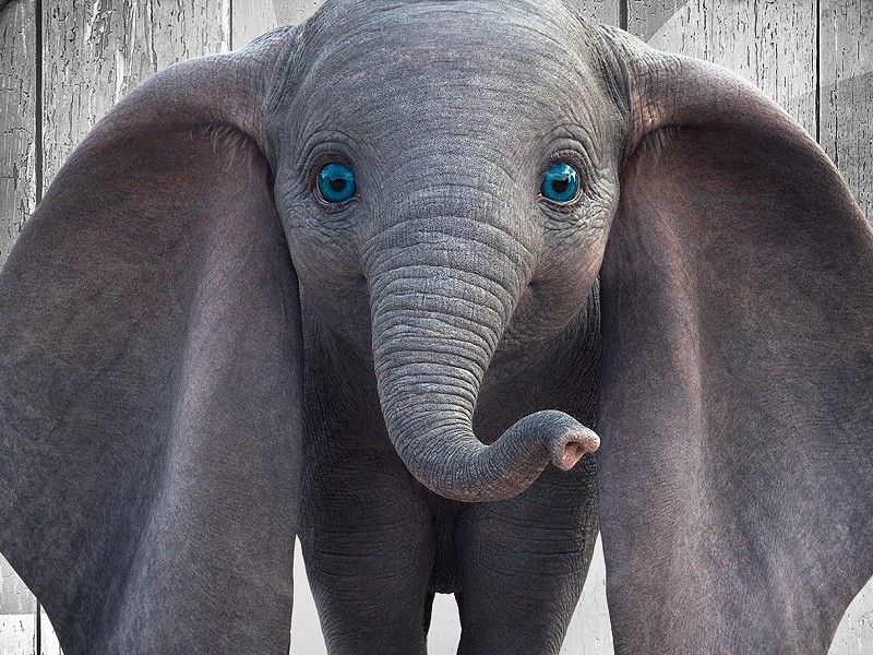 Dumbo