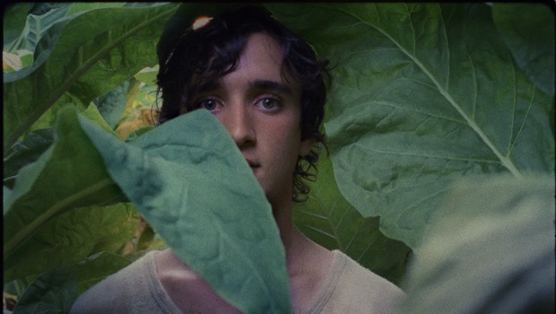 Happy as Lazzaro