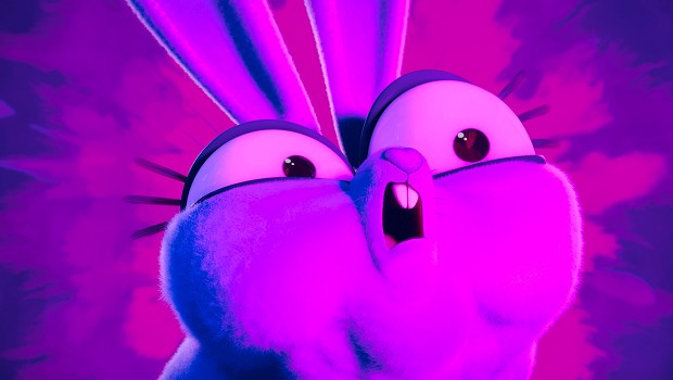 Night of the Zoopocalypse