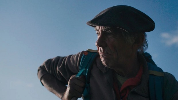 The Shepherd and the Bear