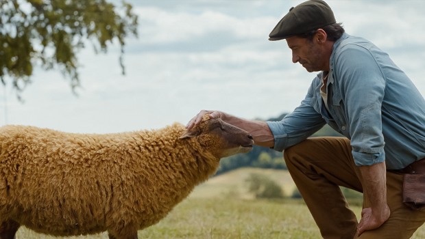 The Sheep Detectives 