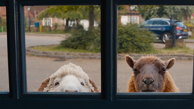 The Sheep Detectives 
