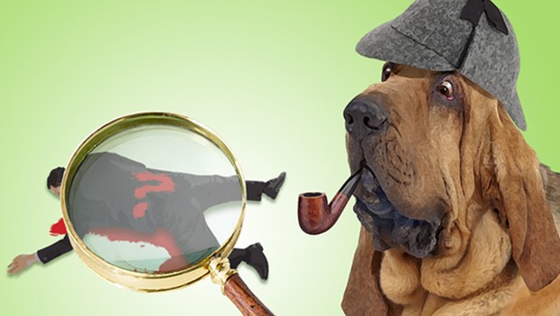 The Real Inspector Hound & A Separate Peace