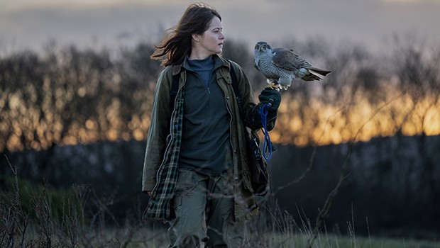 H is for Hawk - BFC