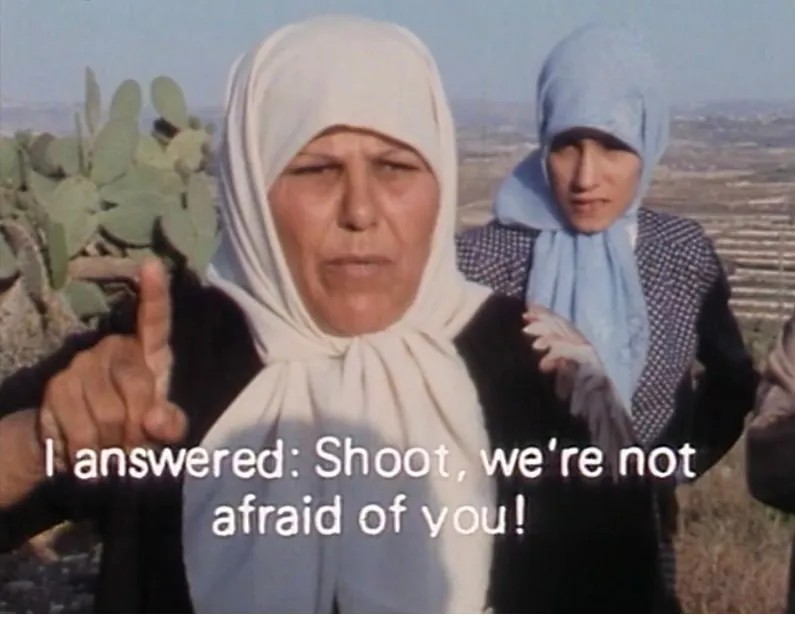 Wild Flowers: Women of South Lebanon + intro