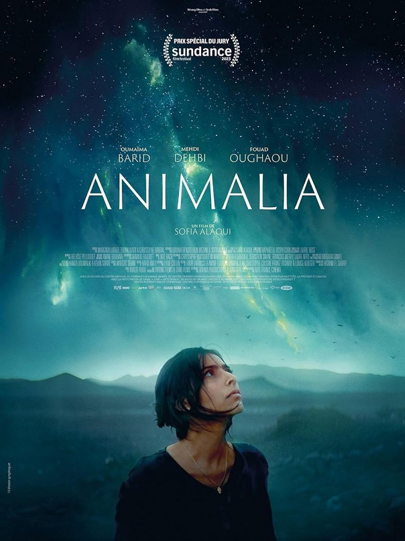 Animalia + Q&A