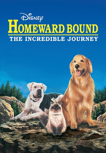 Homeward Bound