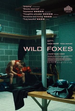Wild Foxes