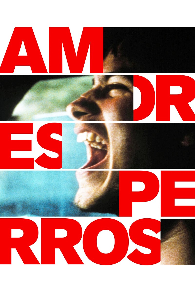 Amores Perros 
