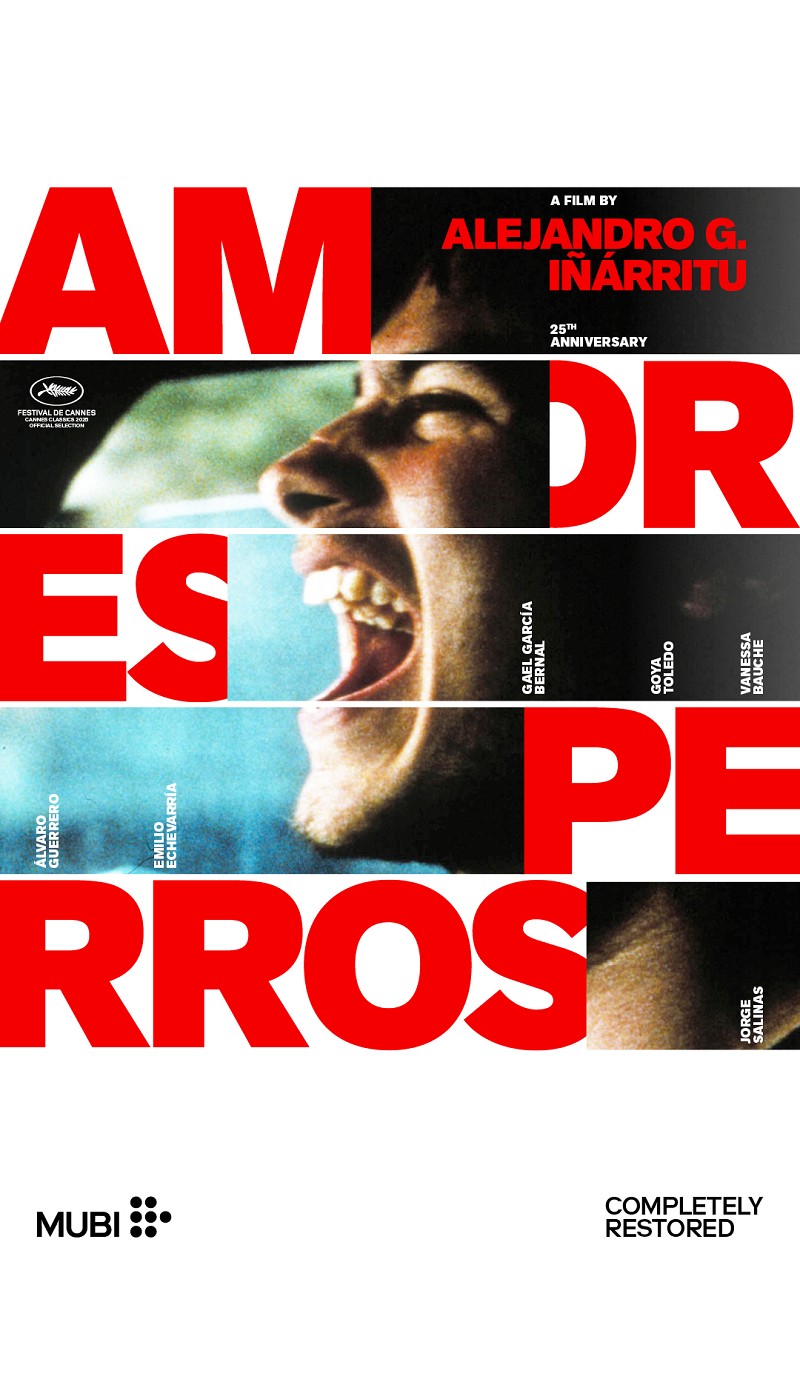 Amores Perros 
