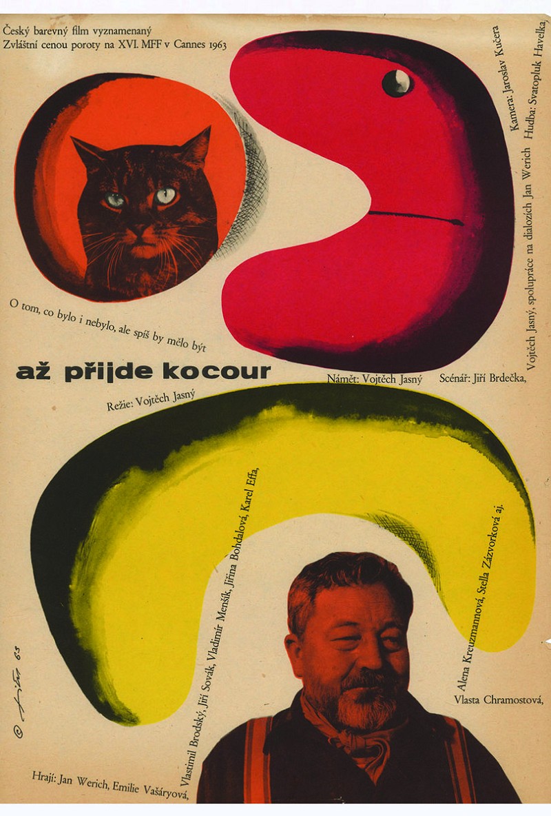 The Cassandra Cat