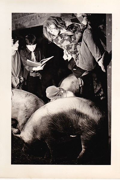 Mr. O's Book of the Dead + Q&A with Mitsuyo Uesugi