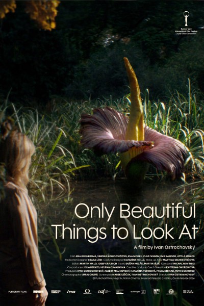 Only Beautiful Things to Look At + Q&A with director Ivan Ostrochovský and actress Aňa Geislerová