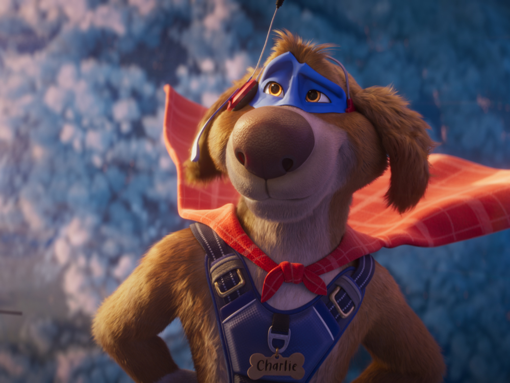 Charlie the Wonderdog