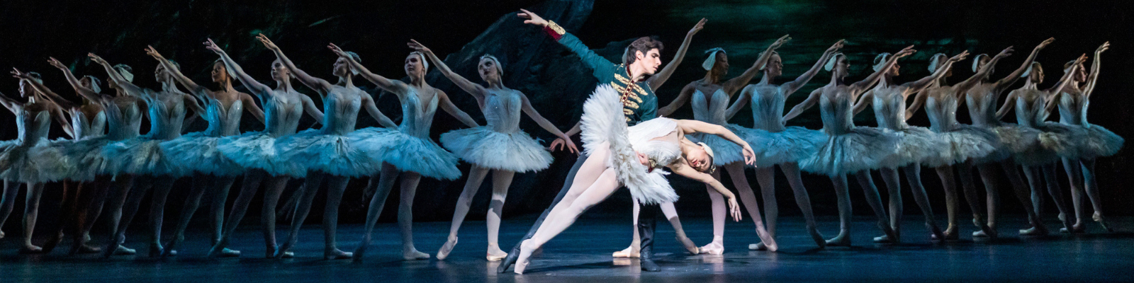 Swan Lake The Royal Ballet