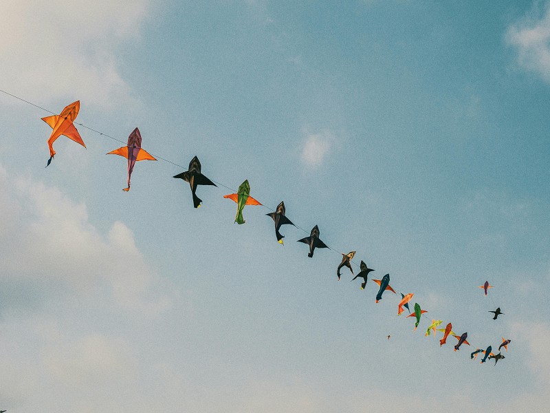 Let's Go Fly a Kite! Workshop