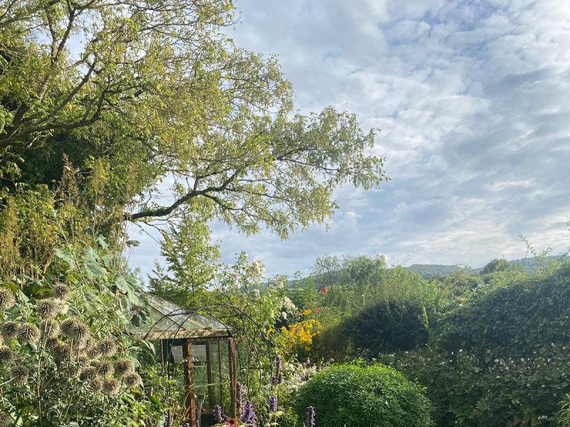 Midsummer Nature Garden Trail