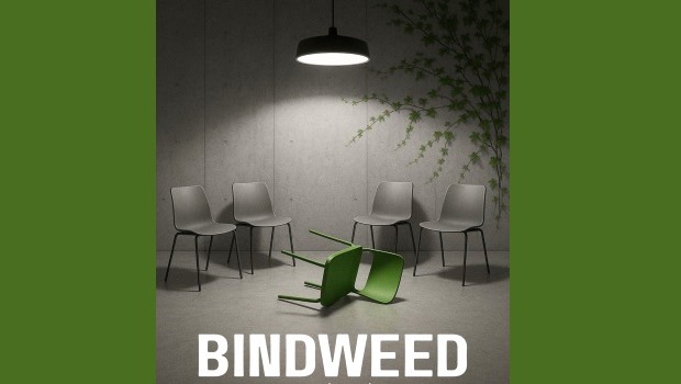 Bindweed