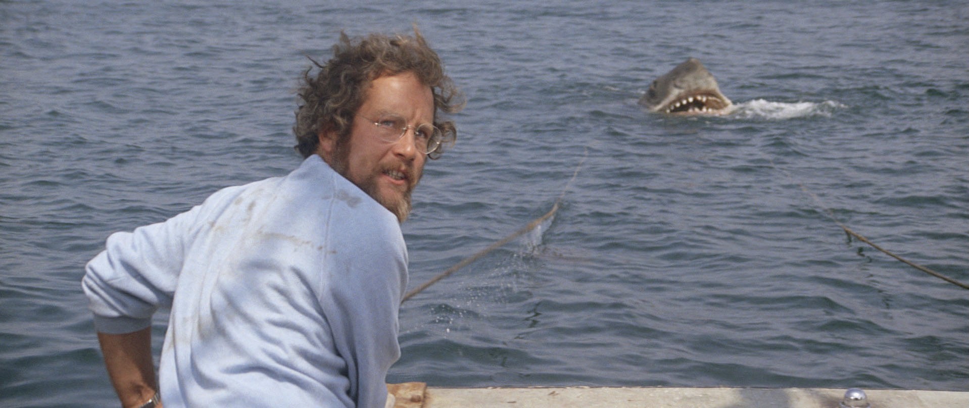 Jaws 50th Anniversary