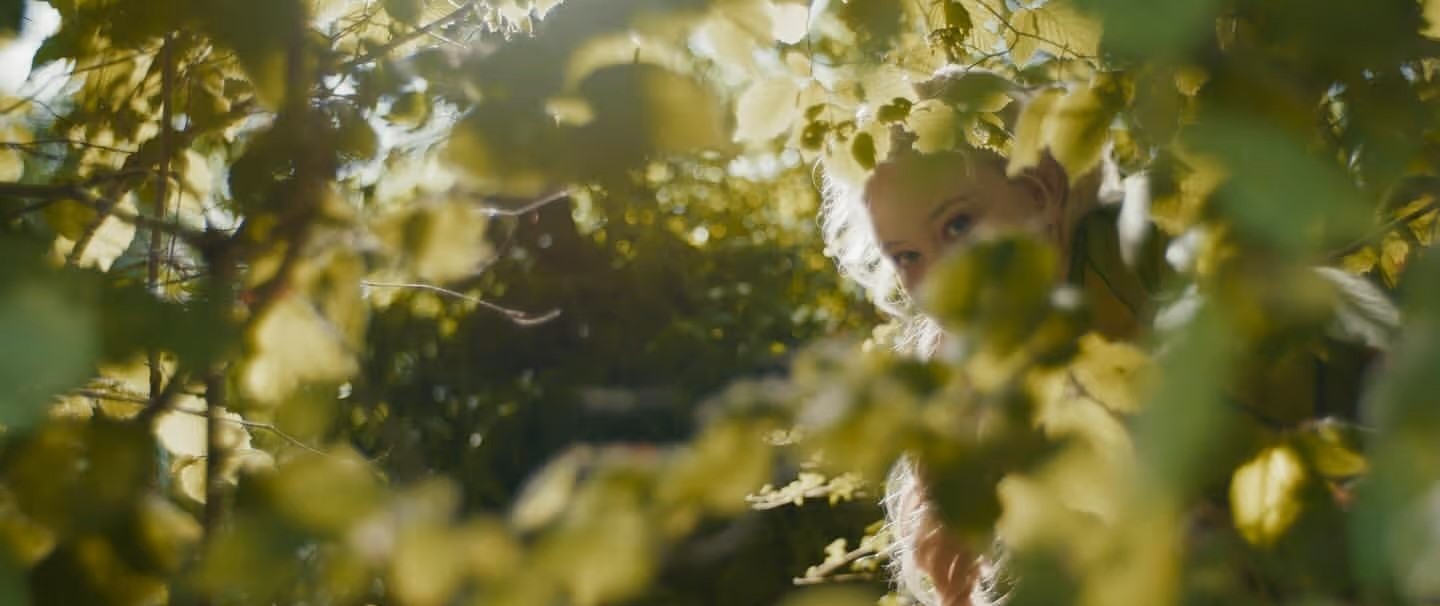 The Magic Faraway Tree