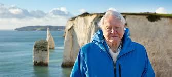 Ocean With David Attenborough