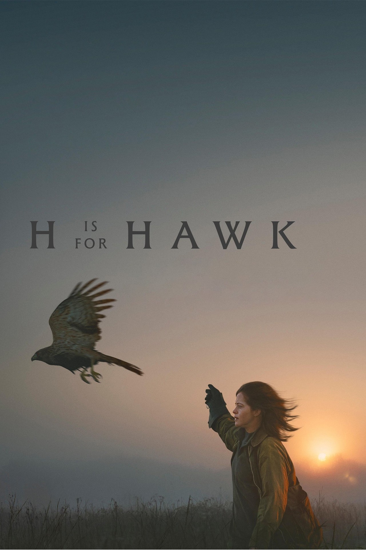 H Is for Hawk
