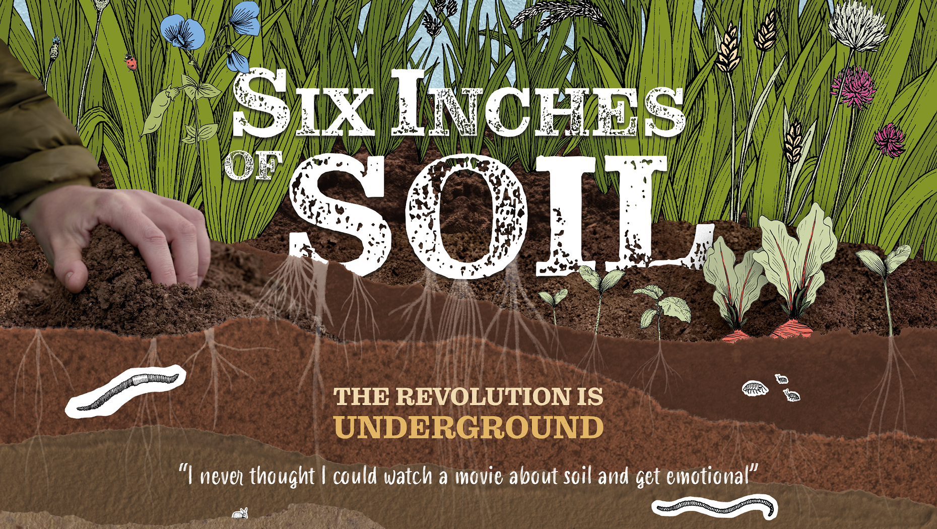 Six Inches Of Soil