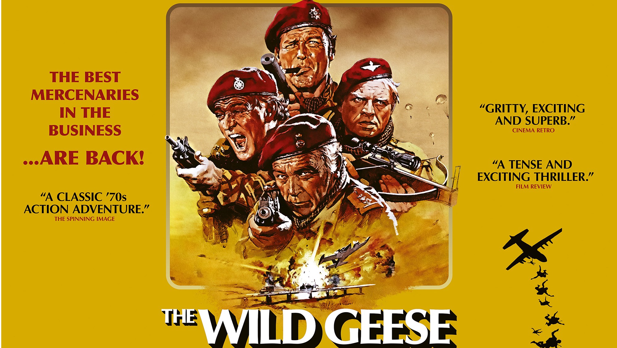 Wild Geese