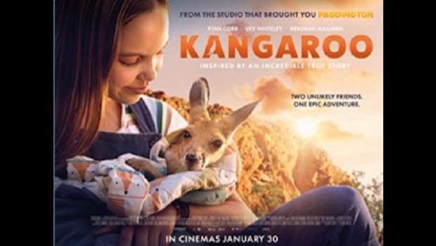 Kangaroo