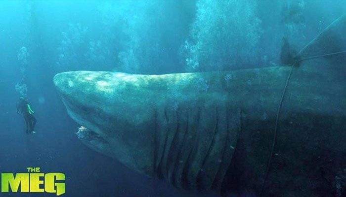 The Meg