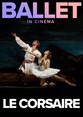 Bolshoi-Le Corsaire