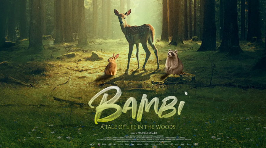 Bambi: A Life in the Woods