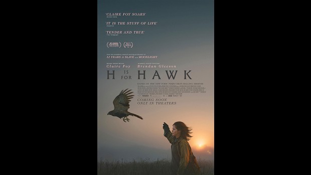 H Is for Hawk