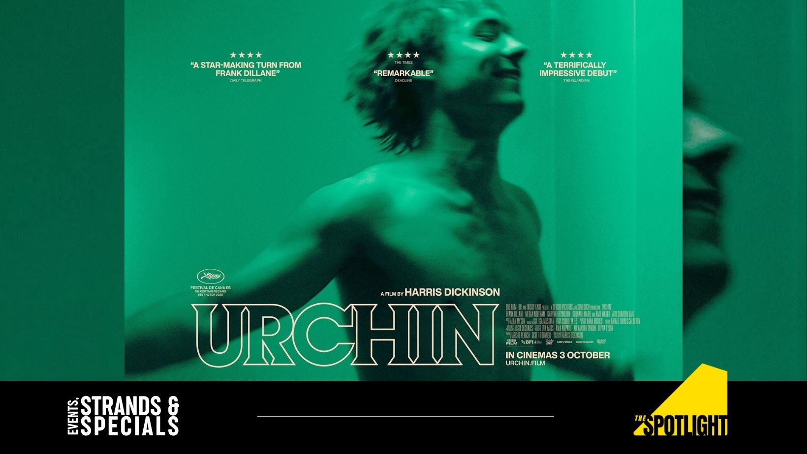 Urchin