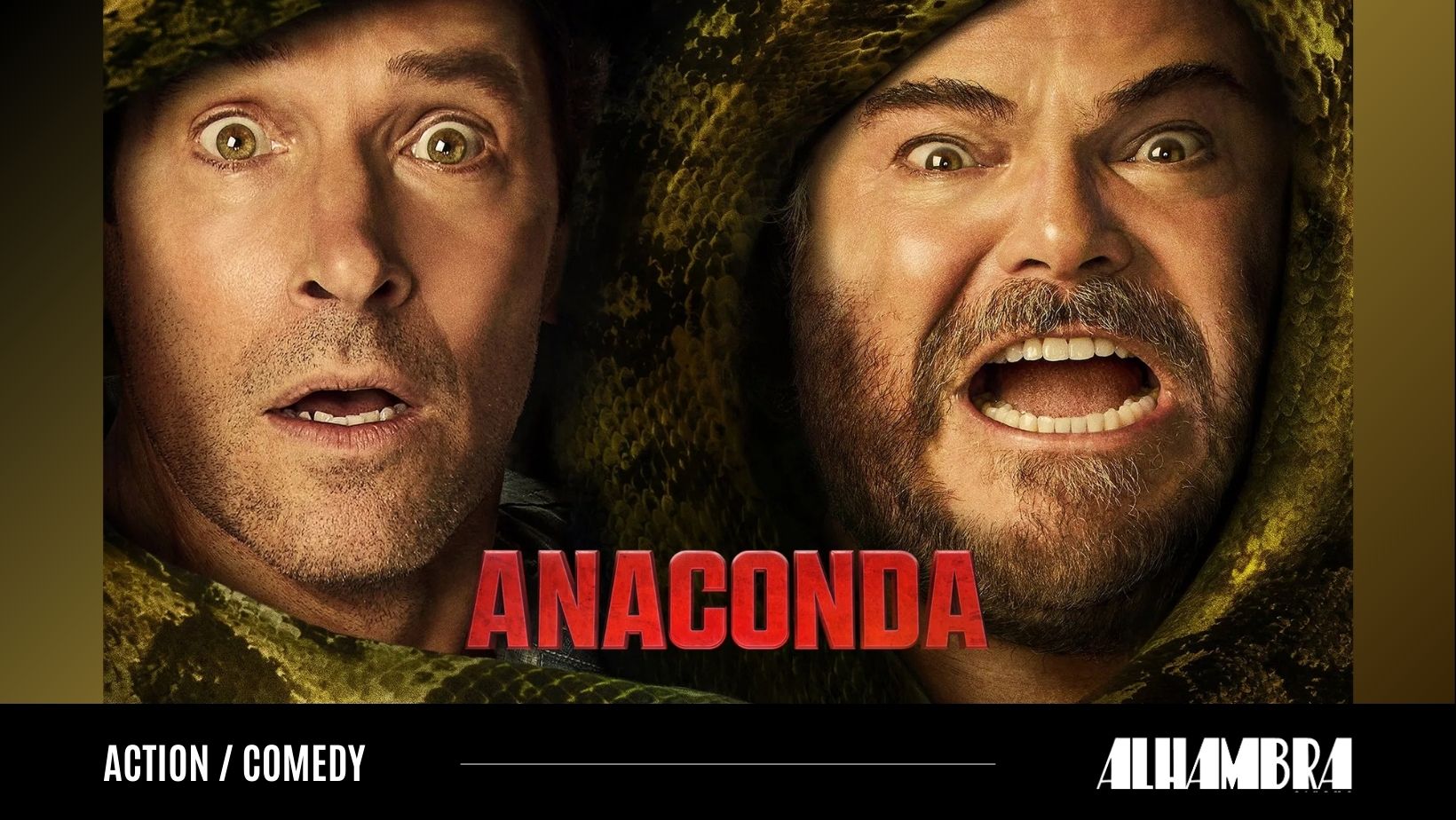 Anaconda