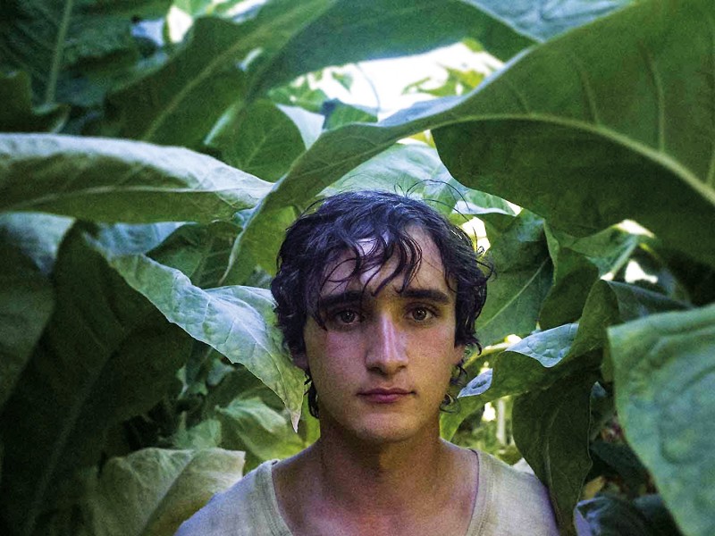 The Spotlight Alternative // Happy as Lazzaro
