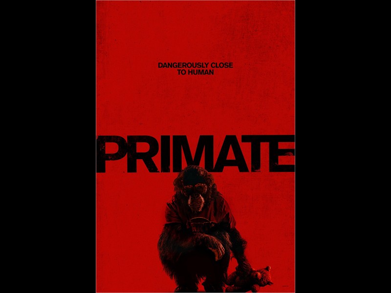 Primate