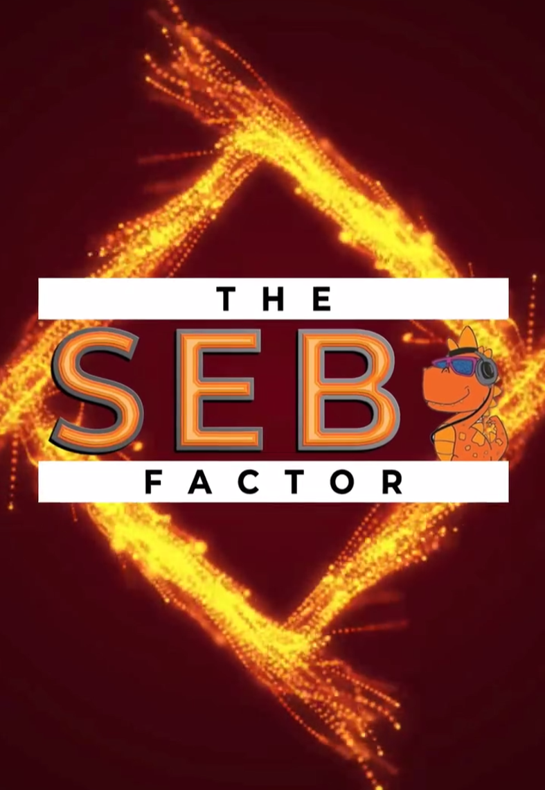 The SEB Factor 2025