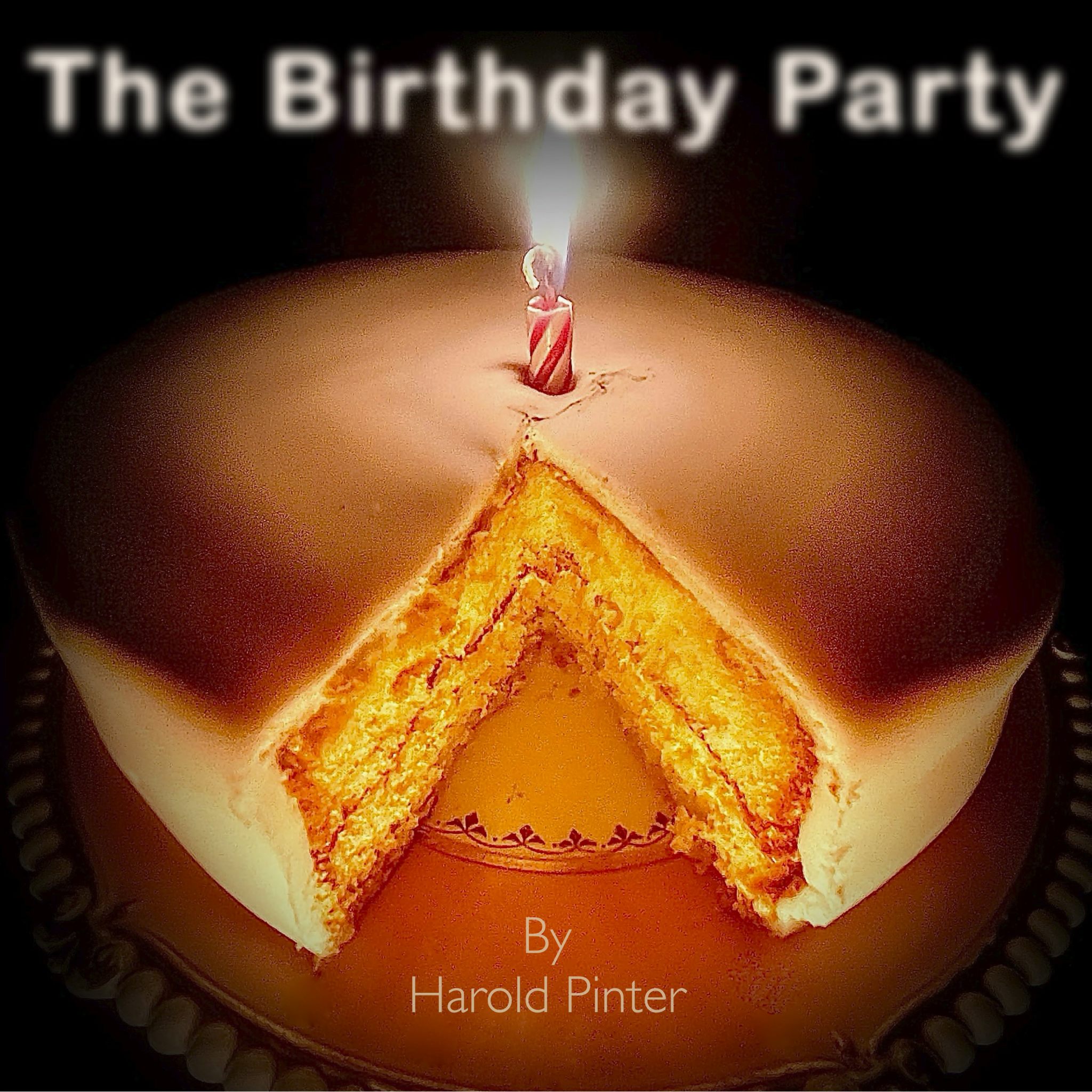 Audition for The Birthday Party