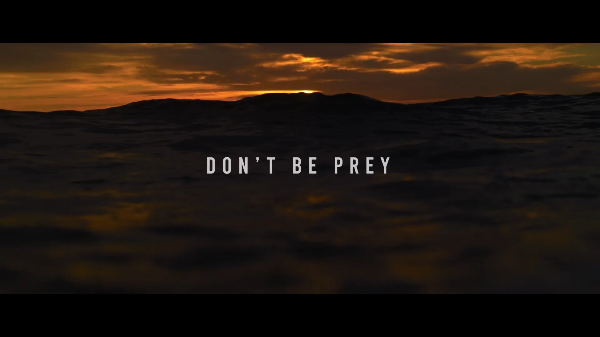 Don't Be Prey