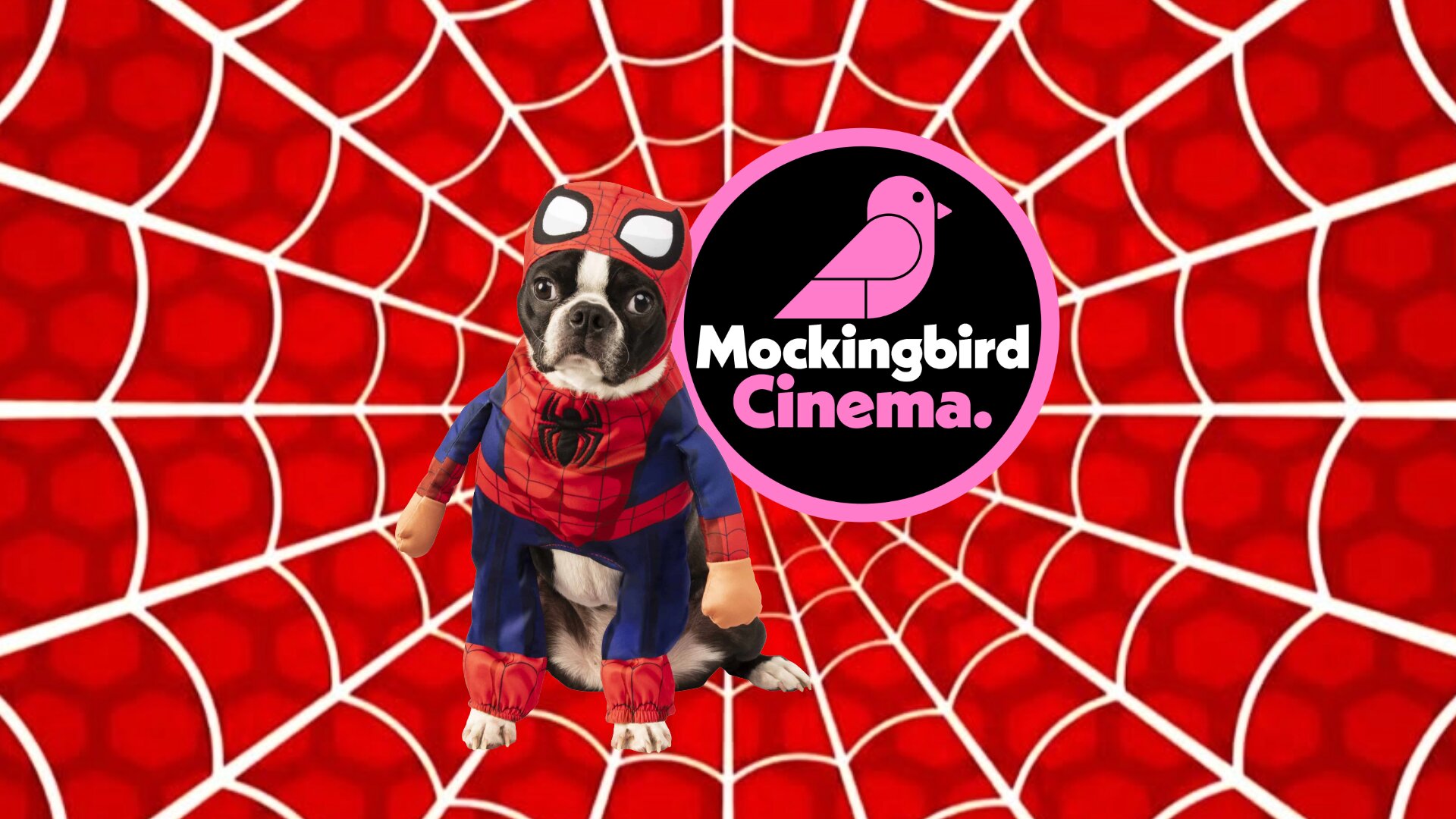 Dog-friendly Spider-Man: Brand New Day
