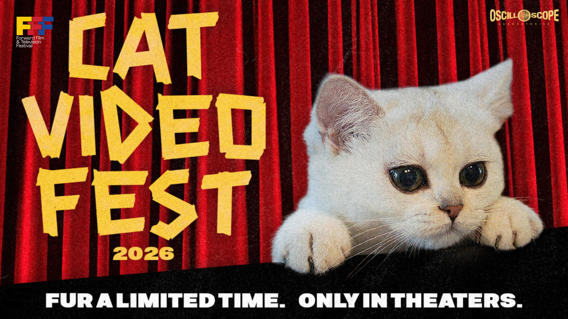 Forward Film Festival: Cat Video Fest 2026