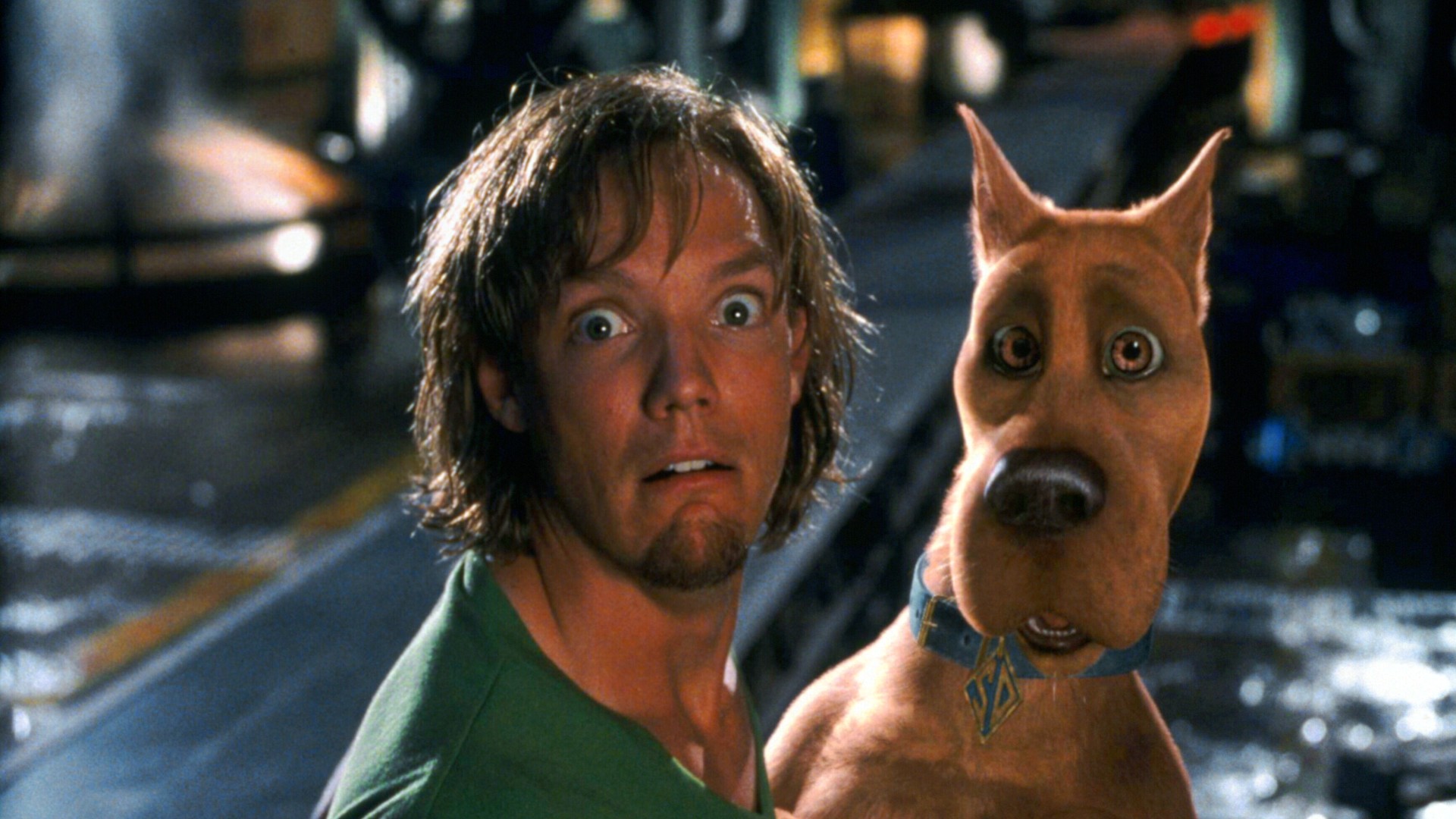 Dog Friendly: Scooby-Doo (2002)